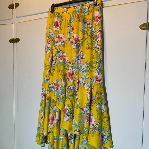 Tolani Dresses & Skirts - Tolani Collection Sunset Swing Skirt